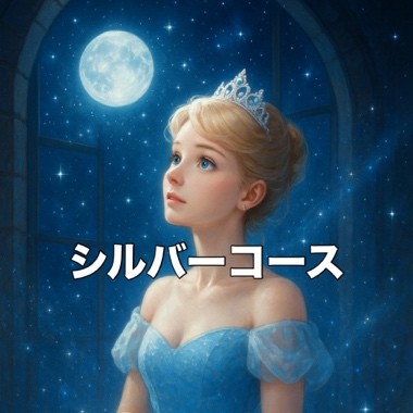 シルバーコース